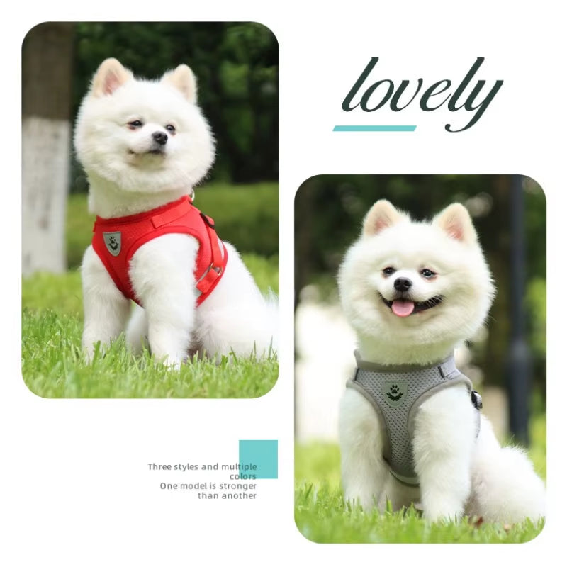 Cat Harness Lead Leash Set Adjustable Reflective Escape Proof Pet Mesh Vest Harness Puppy Dog Collar Small Dog Cat Pet Supplies